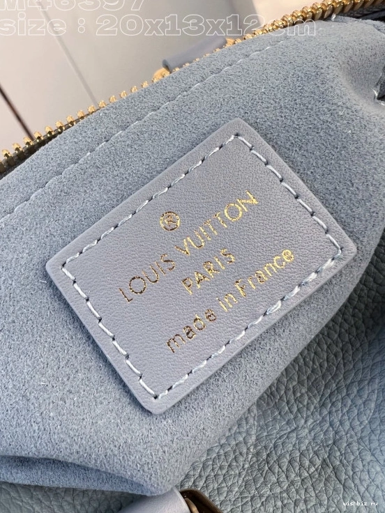 WIS SPEEDY BANDOULIÈRE 20 LOUIS VUITTON 1225